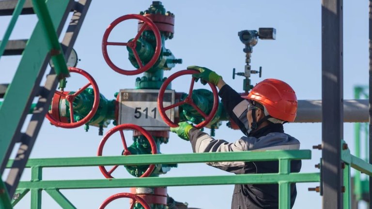 Растёт число предложений от предприятий Иркутской области по оплачиваемой практике для студентов